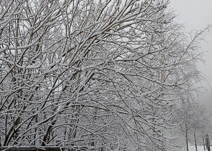 Apartmán Sommeiller Bardonecchia