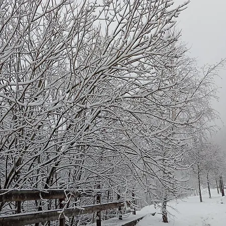 Apartman Sommeiller Bardonecchia